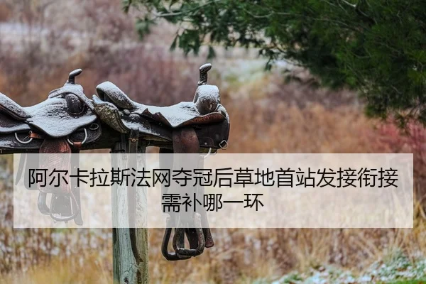 a-er-ka-la-si-fa-wang-duo-guan-hou-cao-di-shou-zhan-fa-jie-xian-jie-xu-bu-na-yi-huan-2-917.jpg