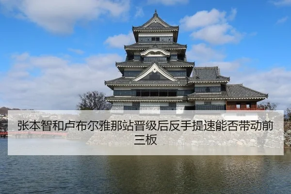 张本智和卢布尔雅那站晋级后反手提速能否带动前三板
